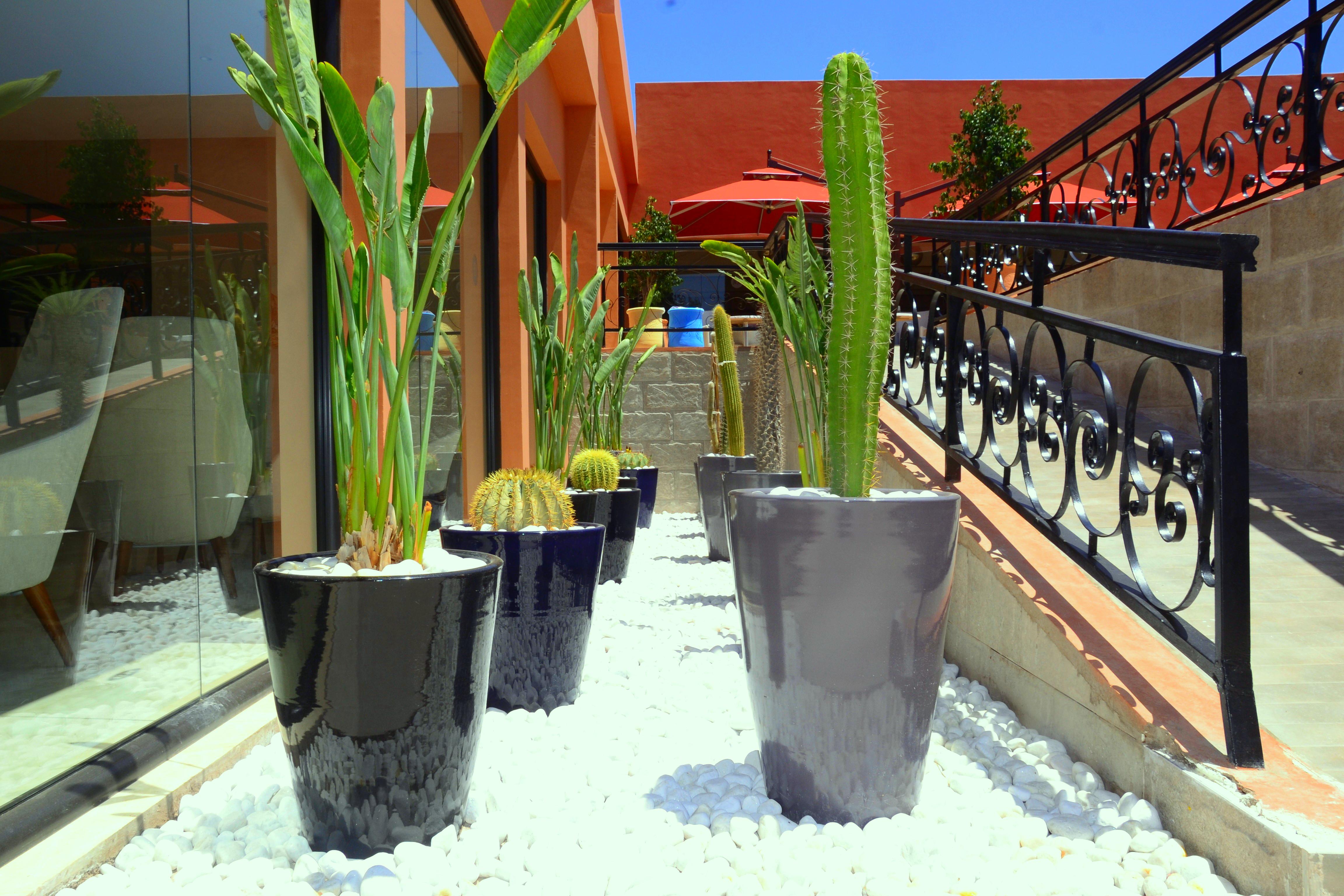 Tui Blue Medina Gardens (Adults Only) Ξενοδοχείο Μαρακές Εξωτερικό φωτογραφία